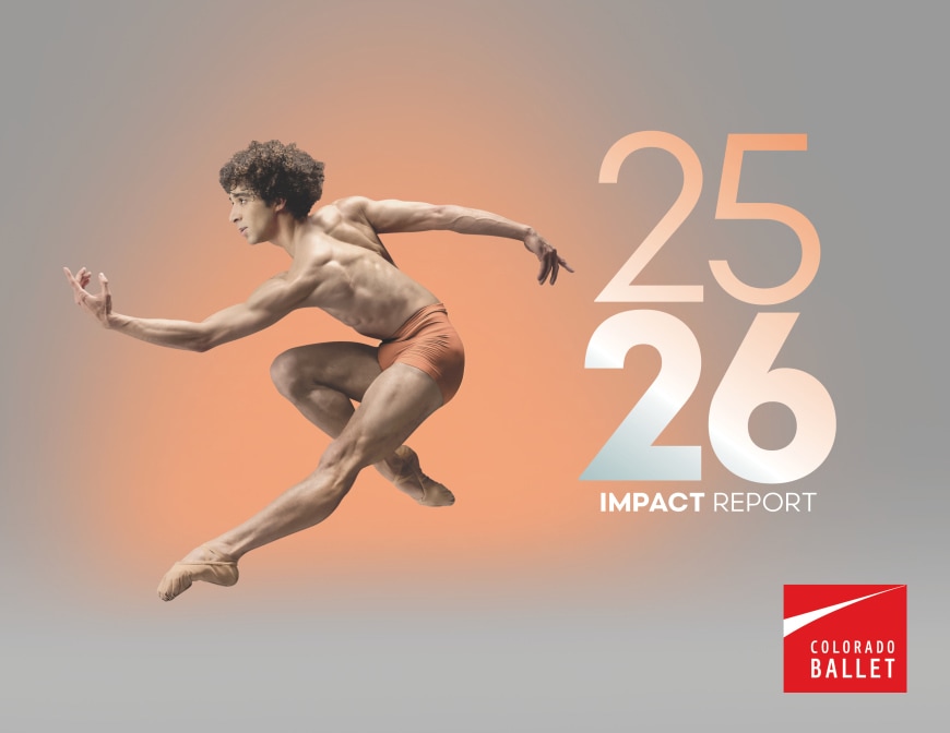 ADV_Impact_Report_2026_Cover.jpg