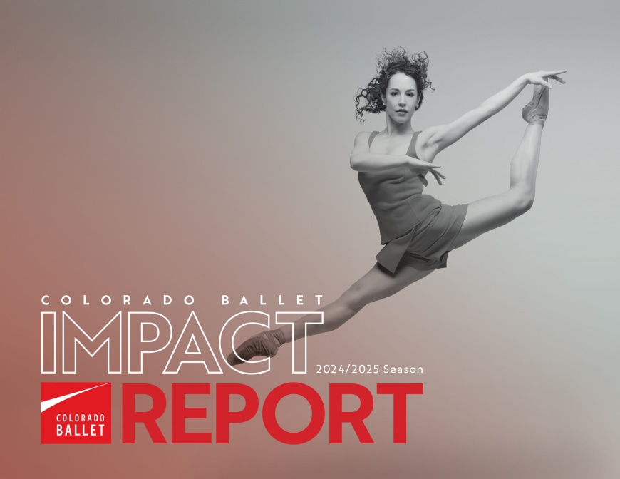 ADV_Impact_Report_2025_Cover_Only.jpg