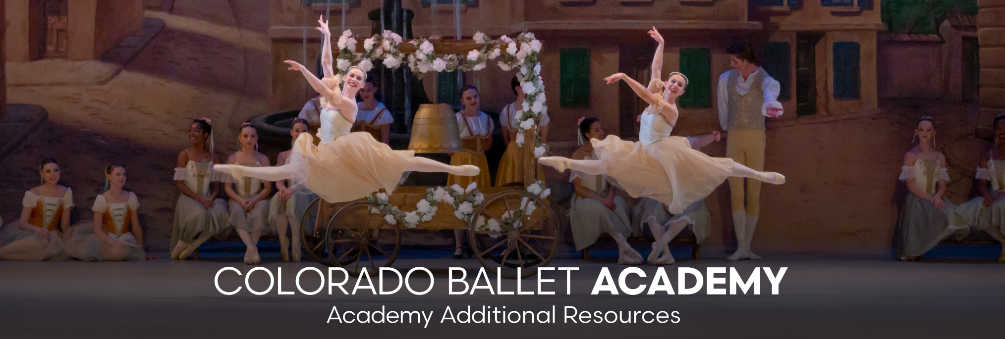 Academy_Additional_Resources_Header_Banner.jpg
