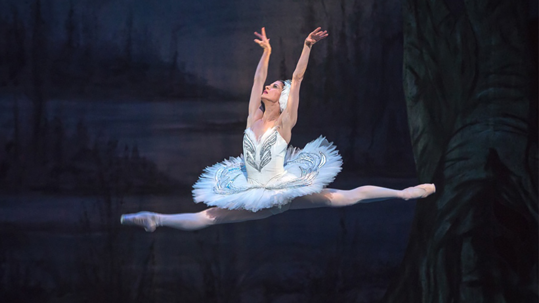 As_Odette_in_Swan_Lake_during_farewell_season_with_Colordo_Ballet.jpeg